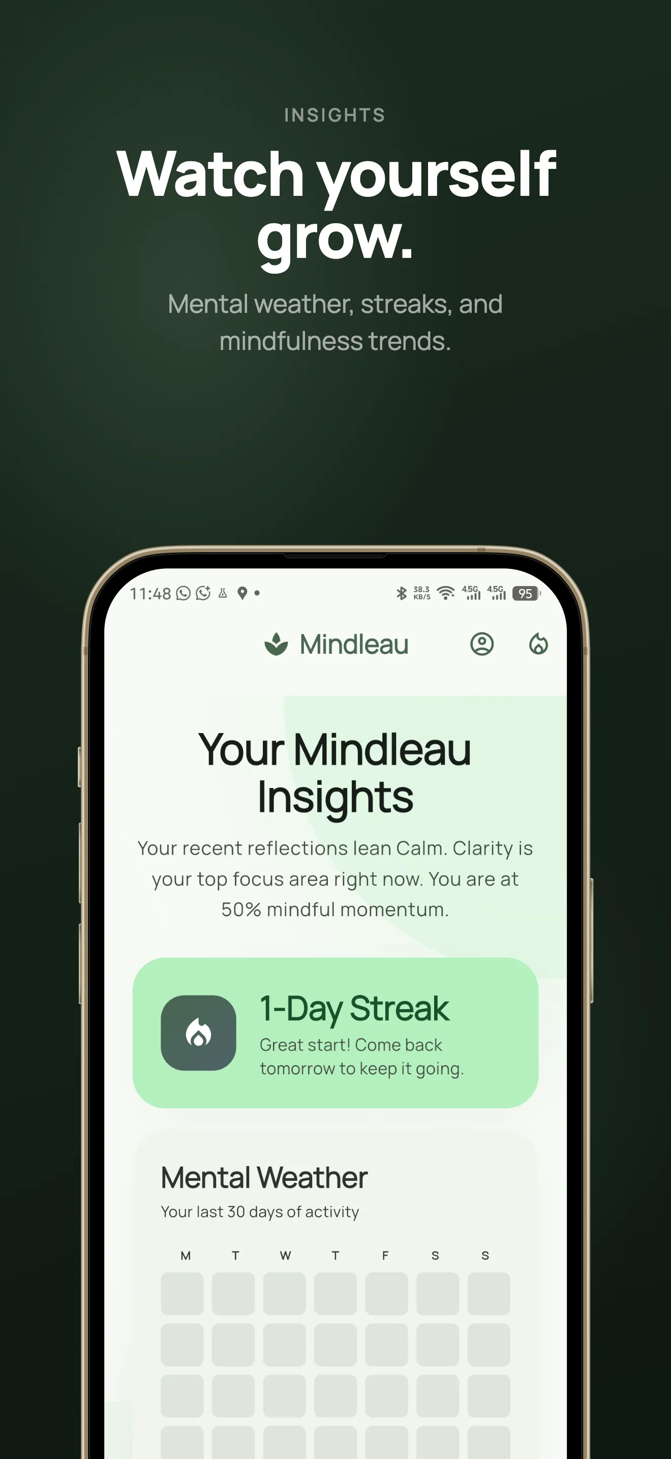Mindleau Insights dashboard